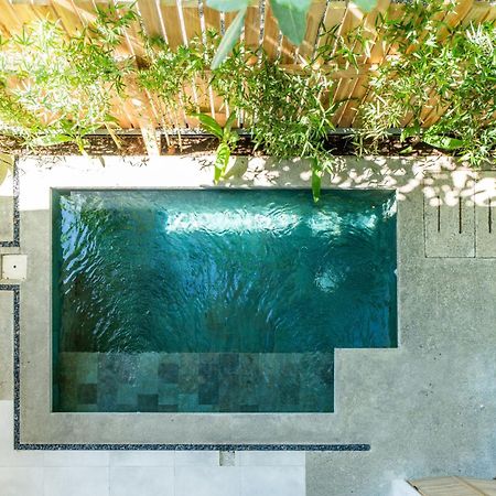Alma Tropical - Luxury Villa Experience In Santa Teresa Playa Santa Teresa  Dış mekan fotoğraf