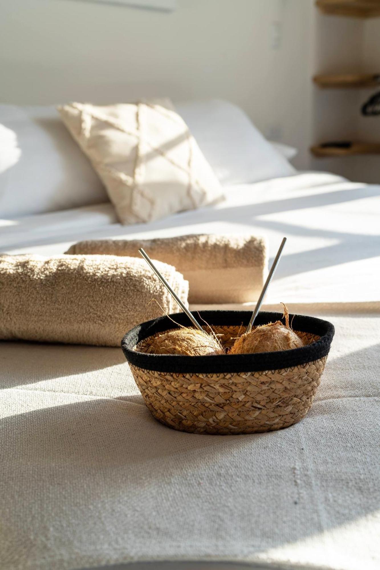 Alma Tropical - Luxury Villa Experience In Santa Teresa Playa Santa Teresa  Dış mekan fotoğraf