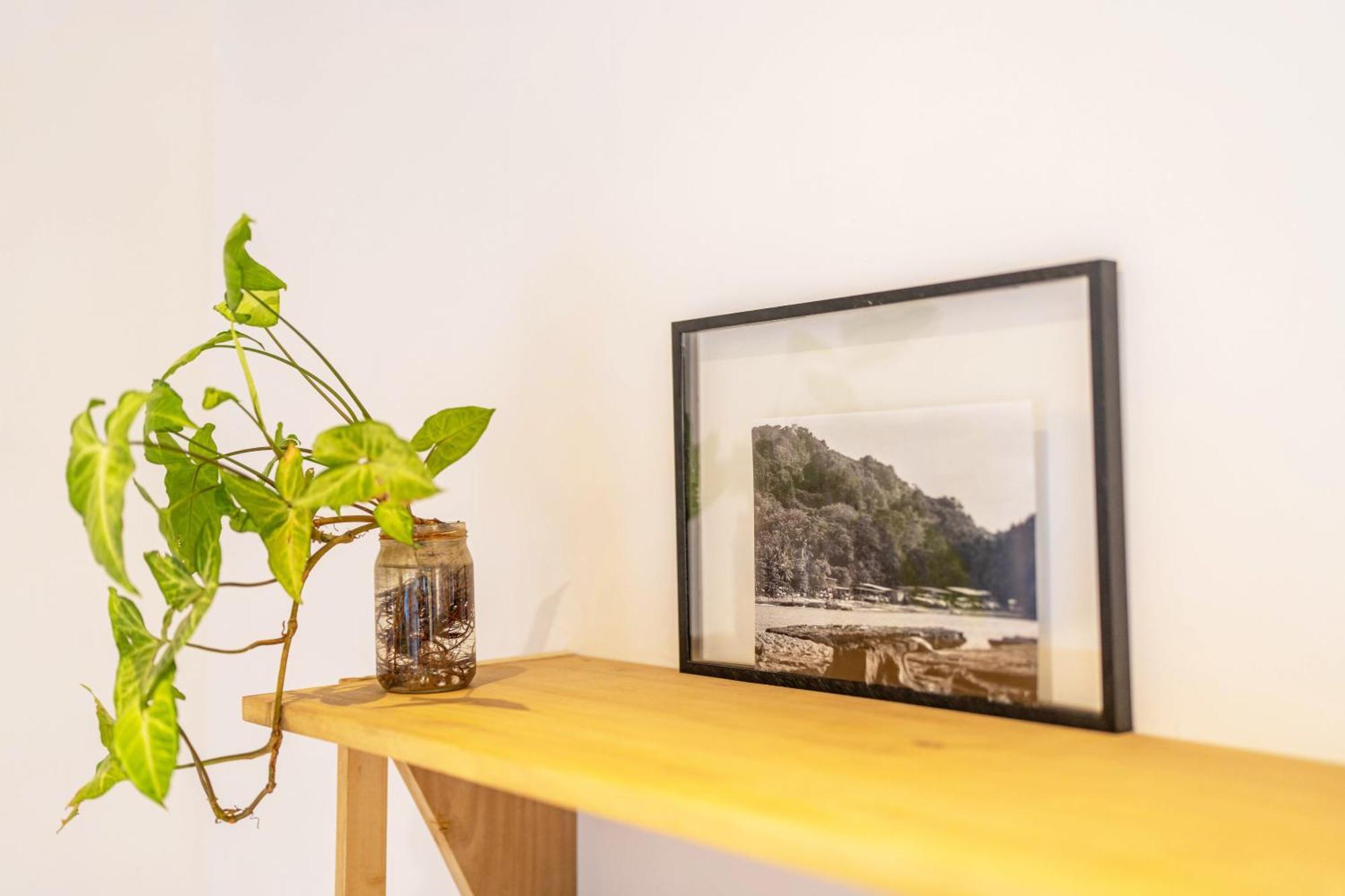 Alma Tropical - Luxury Villa Experience In Santa Teresa Playa Santa Teresa  Dış mekan fotoğraf